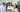 FACTORFIVE Science Team