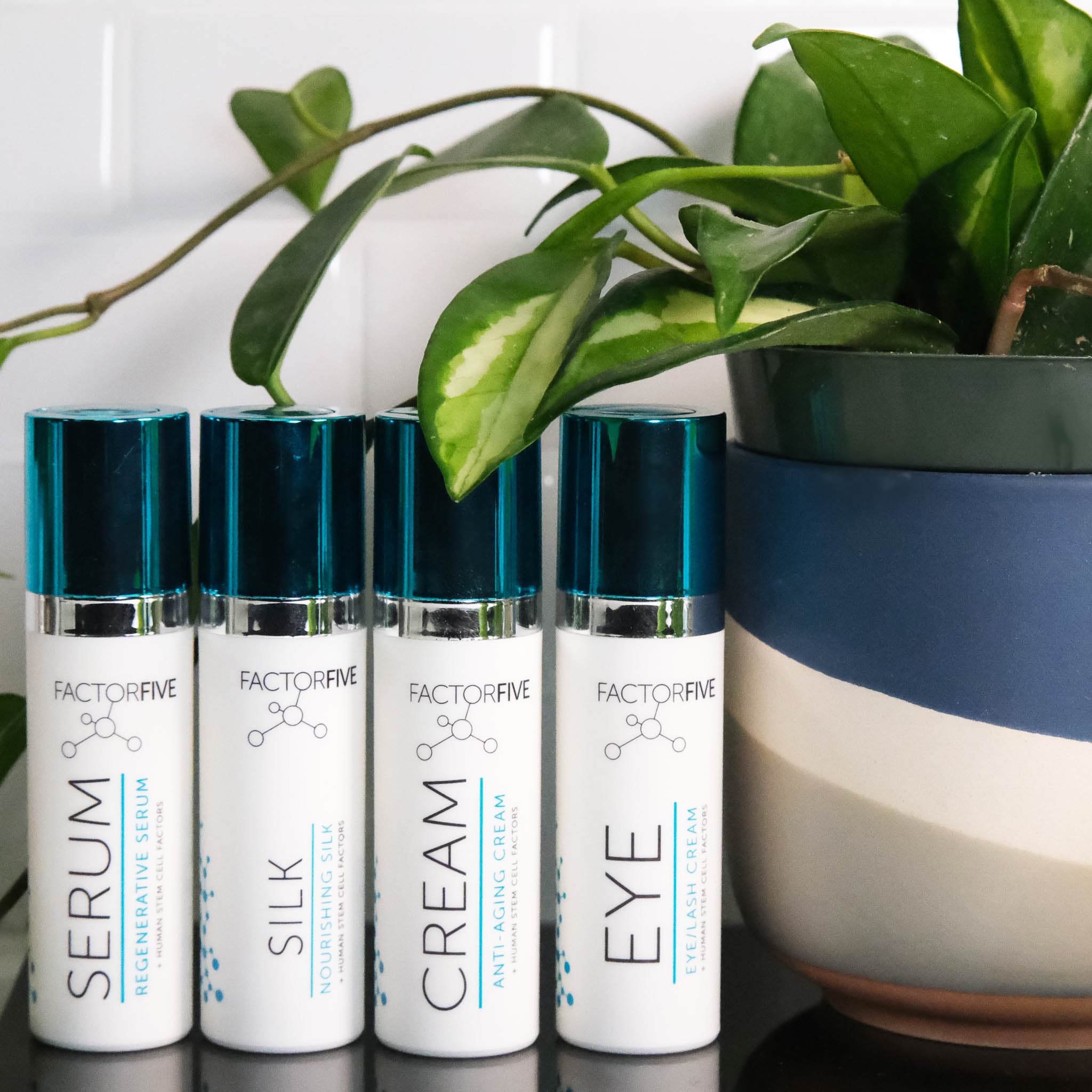 FACTORFIVE Anti-Aging Cream Mini – Youthful Hydration – FACTORFIVE