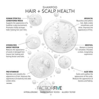An informational graphic for FACTORFIVE Shampoo highlighting hair and scalp health benefits, featuring labeled callouts for human stem cell conditioned media, argan oil, hydrolyzed wheat protein, menthol, pro-vitamin B5, and aloe vera around illustrated translucent hair and scalp droplets on a white background.